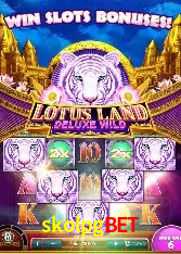 Interface do App skolpgbet